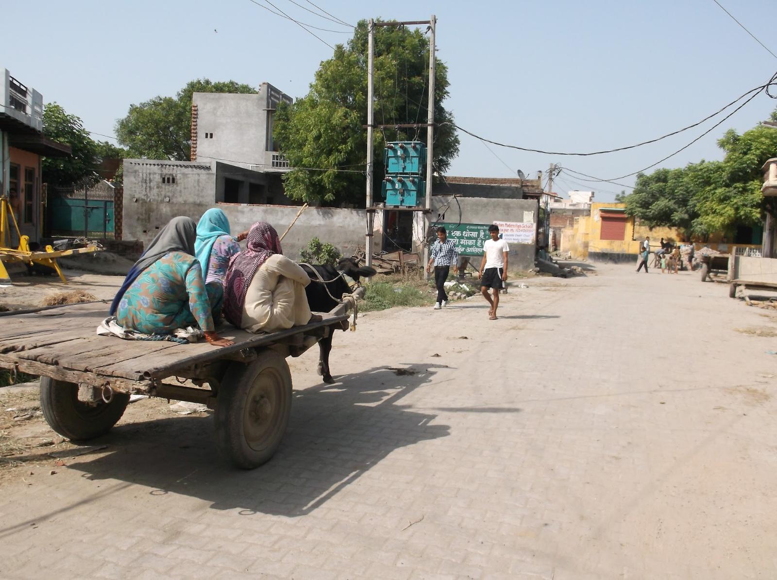 インドの現地コーディネート