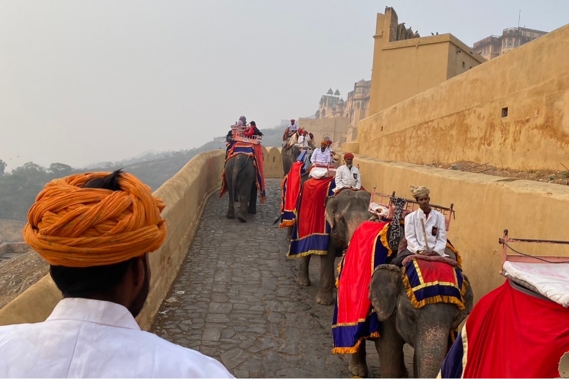 インドの象タクシー