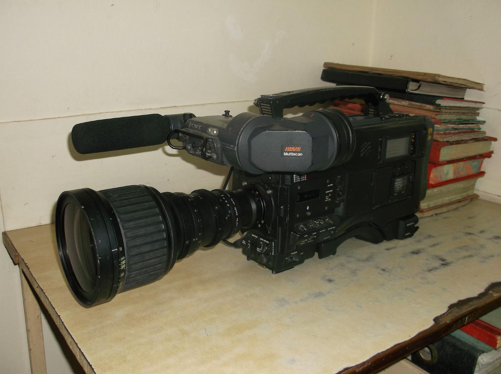 インド人現地コーディネーター