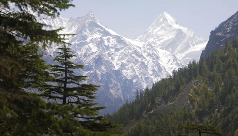 ガンゴートリー氷河