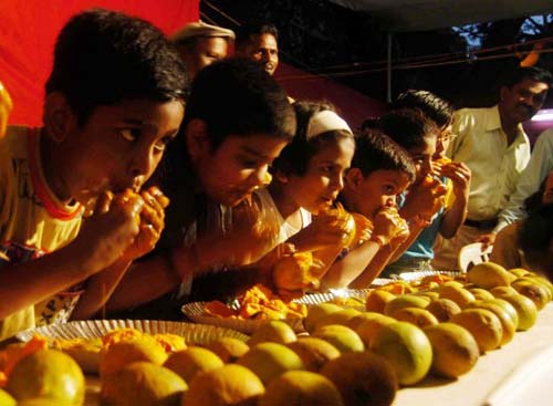 InternationalMangoFestival